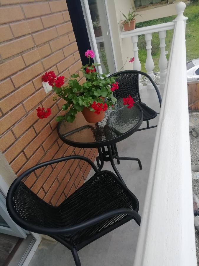 Villa Mate & Villa Luka Ureki Zewnętrze zdjęcie